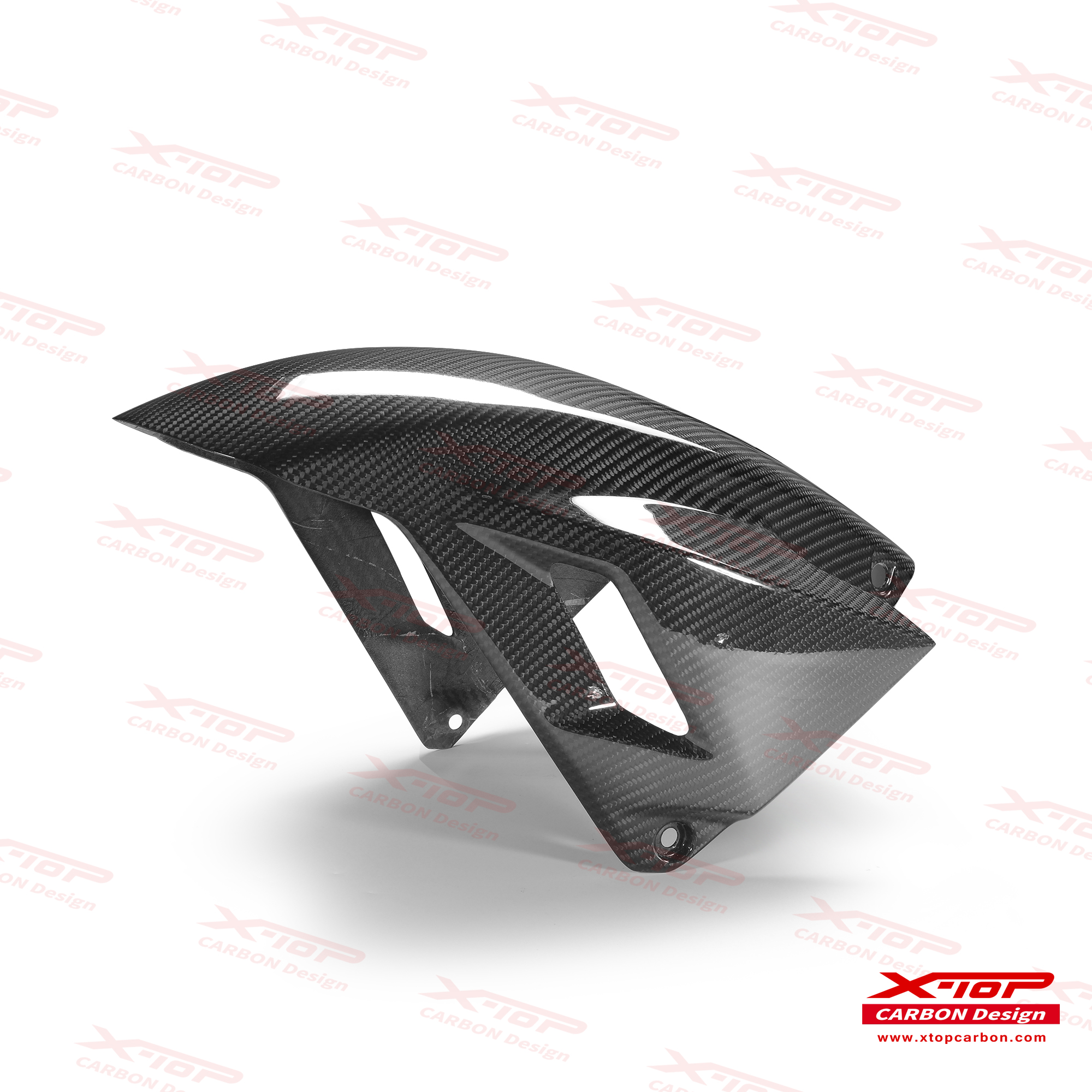 X-TOPカーボンフロントフェンダー GOLDWING